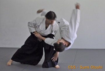 Aikido_Center_break_CS5.jpg
