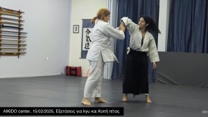 Aikido center 15/02/2025