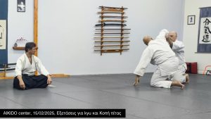 Aikido center 15/02/2025