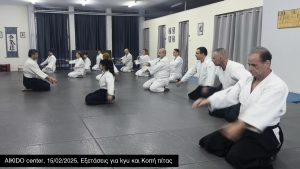 Aikido center 15/02/2025