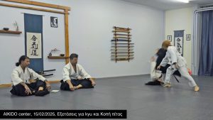 Aikido center 15/02/2025