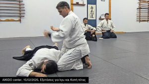 Aikido center 15/02/2025