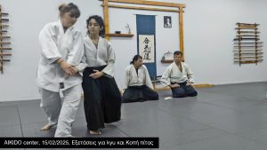 Aikido center 15/02/2025