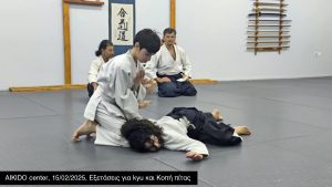 Aikido center 15/02/2025