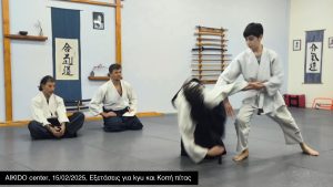 Aikido center 15/02/2025